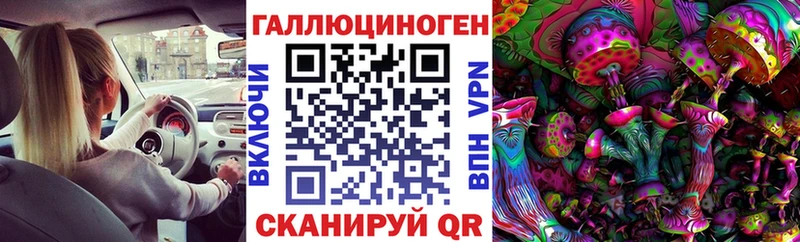 Галлюциногенные грибы мицелий  Купить  Болохово 
